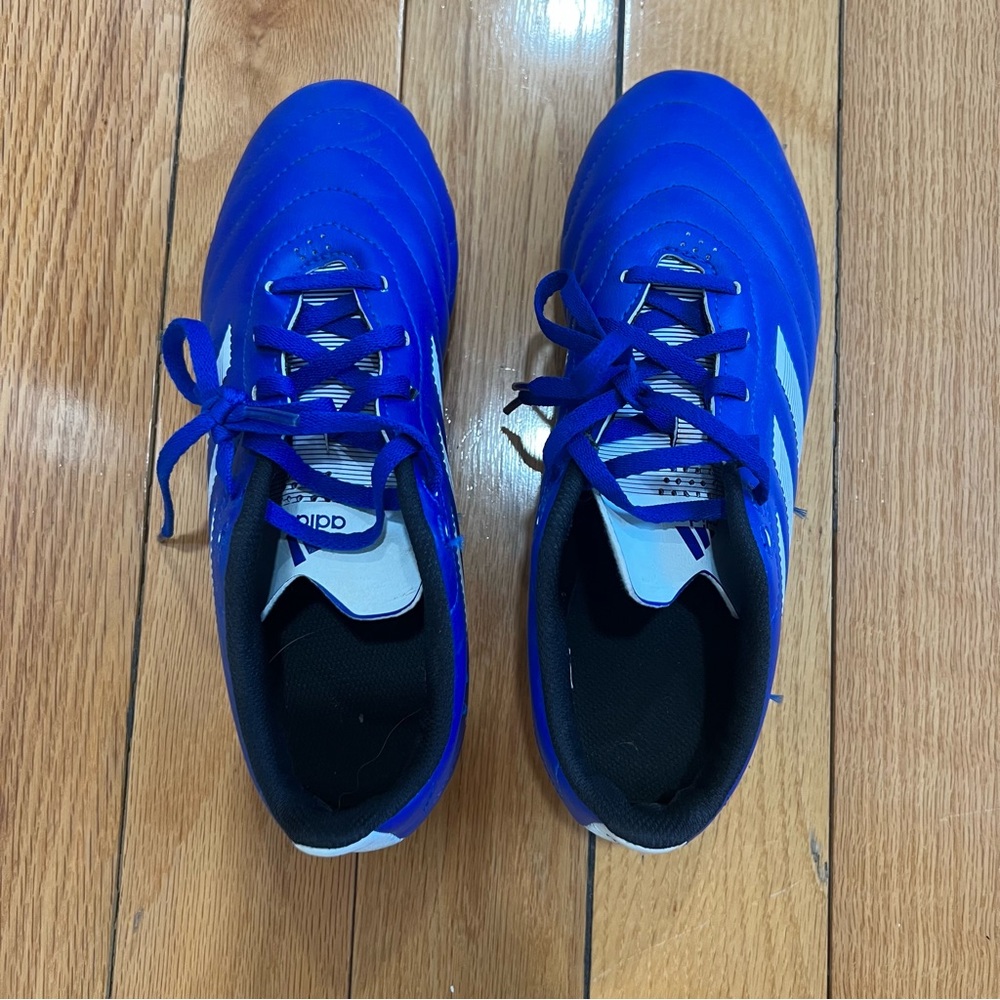 Adidas Royal Blue Sports Shoes with White Stripes